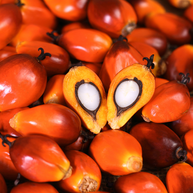 Palm oil, certified organic, RSPO certified image 0